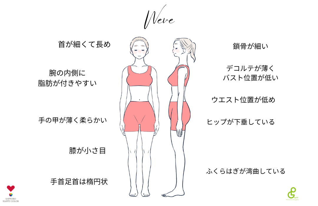 【骨格診断】】ウェーブタイプとは? | 公式【札幌ハッピーカラー】パーソナルカラー・顔タイプ・骨格診断サロン